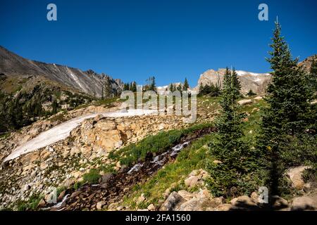 Alpine Meadows hinter dem Lake Isabelle in Indian Peaks Wilderness Stockfoto