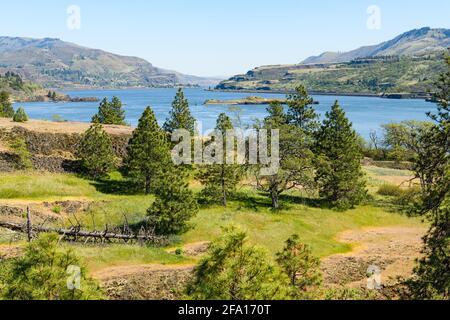 Blick über den Columbia River und die Schlucht von der barrierefreien Catherine Creek Trail in der National Scenic Area Stockfoto