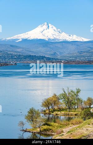 Mount Hood erhebt sich an einem klaren Tag über eine Ruhe Fließender Columbia River zwischen Oregon und Washington State mit einem Kleiner grüner Ort der Einsamkeit Stockfoto