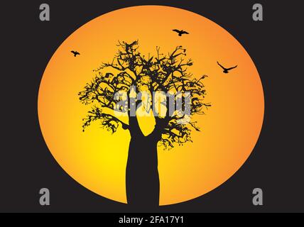 Boab-Baum mit fliegenden Vögeln und orangefarbenem Mond Stock Vektor