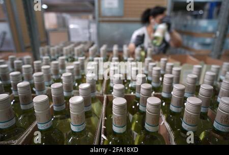 Tornesch, Deutschland. April 2021. Ein Mitarbeiter verpackt Weinflaschen im IWL-Logistikzentrum (International Wine Logistics) des Weinhändlers Hawesko in Kartons. Das Unternehmen versteht sich als Europas größte Weinhandelsgruppe und erzielte 2020 nach vorläufigen Zahlen eine Umsatzsteigerung von zwölf Prozent. Kredit: Marcus Brandt/dpa/Alamy Live Nachrichten Stockfoto