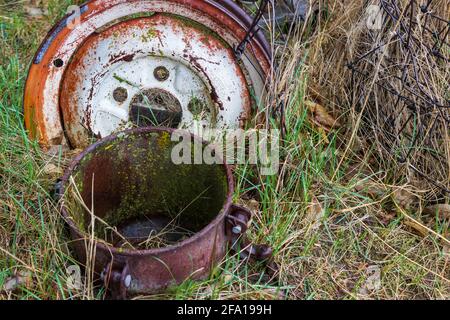 Der Kanister aus einem antiken Farbsprüher, ein Metallrand und eine Rolle alten Drahtes ragen aus Frühlingsregen gedämpftes grünes Gras heraus. Stockfoto