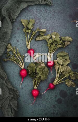 Garten Rettich mit Wurzel und Blättern auf grünem Hintergrund. Vertikale Ansicht von oben. Stockfoto