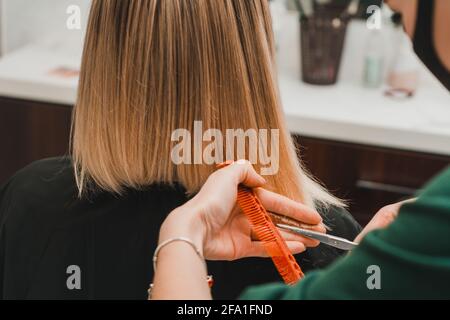 Haarpflege, Frisör schneidet die geschnittenen Enden der Haare und richtet die Länge, die Arbeit der Friseure während der globalen Coronavirus-Pandemie.neu Stockfoto