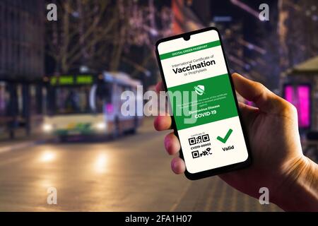 Digitaler Impfpass, ein grüner Pass, für COVID-19, auf dem Smartphone in männlicher Hand mit Kopierraum angezeigt. Impfung, Krankheit Immunität pa Stockfoto