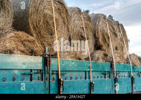 Landwirtschaftliche Anhänger mit gebundenen Heuballen Stockfoto