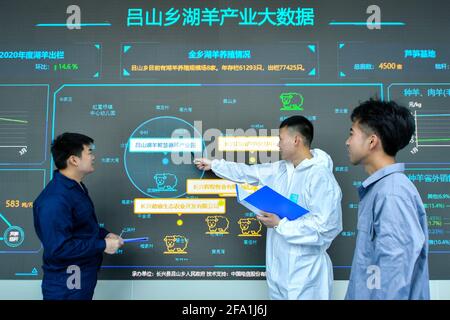 Huzhou, China. April 2021. Die Bauern züchten am 21. April 2021 in Huzhou, Zhejiang, China, Schafe mit modernem intelligenten Zuchtmodell.(Foto: TPG/cnsphotos) Quelle: TopPhoto/Alamy Live News Stockfoto