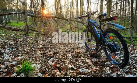 Mountainbike fahren in der Urlaubsregion Harz Selketal Stockfoto