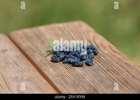 Frische Geißelbeeren mit Blättern auf Holztisch Hintergrund. Selektiver Fokus Stockfoto