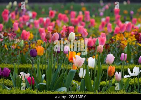 Ashridge House Gardens Hertfordshire entworfen von Humphrey Repton Stockfoto