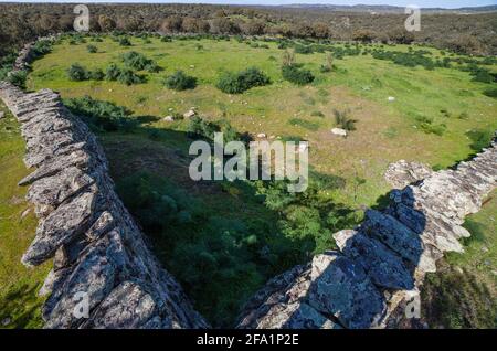 Archäologische Stätte von Tamusia, Botija, Caceres, Extremadura. Wandgehäuse. Westhispano-keltische Bergfestung der Vettonier Stockfoto