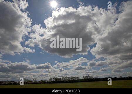 Spektakuläre Cumulus- und Cumulonimbus-Wolken am blauen Himmel mit Bäumen Silhouette auf der Skyline Criclkade Wiltshire April 2021 Stockfoto