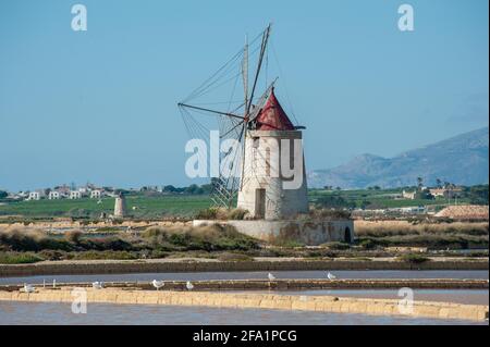 Archäologischer Park von Selinunte in Sizilien Stockfoto