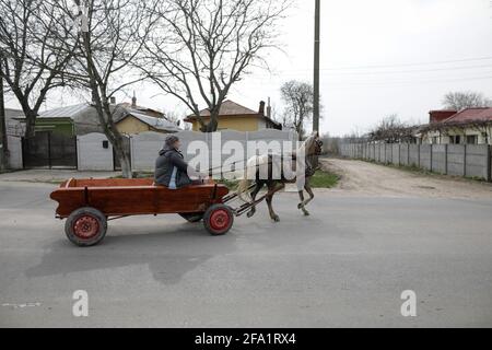 Sintesti, Rumänien - 2. April 2021: Der Mensch fährt einen Pferdewagen auf einer öffentlichen Straße. Stockfoto