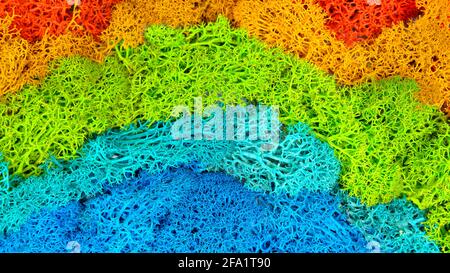 Gefärbtes stabilisiertes Moos. Rote, gelbe, grüne, blaue Farben Stockfoto