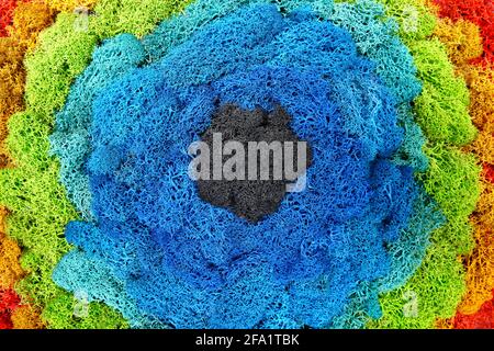 Gefärbtes stabilisiertes Moos. Rote, gelbe, grüne, blaue Farben Stockfoto