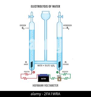 Elektrolyse von Wasser. Beschriftetes Diagramm zur Darstellung der Elektrolyse von versauertem Wasser, das Wasserstoff und Sauerstoffgase bildet. Elektrolyse von Wasser in Hofmann Stock Vektor