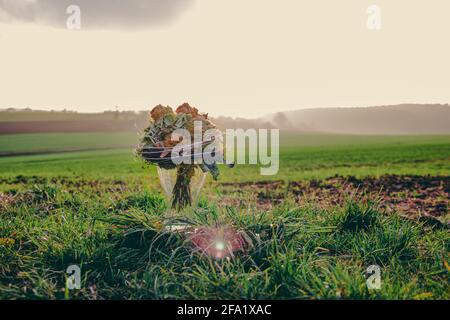 Blumenstrauß (Rosen) in einer Glasvase auf einem Außenfeld in Feldstetten, Deutschland. Blumen werden gebunden und schaffen ein Stillleben während des Sonnenuntergangs. Stockfoto
