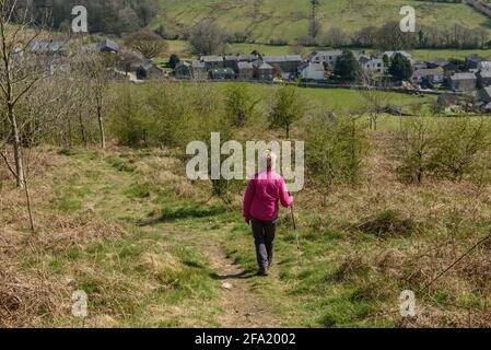 Abstieg zum Hutton-Dach auf dem Kalkstein Link Long Distance Fußweg in Cumbria Stockfoto