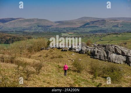 Wandern auf dem Kalkstein Link über Hutton Roof Crags. Cumbria Stockfoto