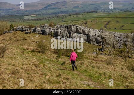 Wandern auf dem Kalkstein Link über Hutton Roof Crags. Cumbria Stockfoto