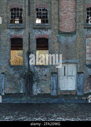 Ein verlassenes Fragment der alten Docklands - das wettergewittert Äußere eines Lagerhauses, das durch zerbrochene Fenster zu wilden Pflanzen blickt. Stockfoto