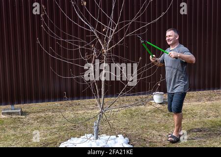 Frühjahrsgärtnerei, Apfelbaumpflege. Digitale Entgiftung, echte Menschen, Landleben. Stockfoto