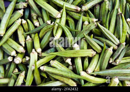 Gobo, okra, okro, Ladies' Fingers, Ocker (Hibiscus esculentus, Abelmoschus esculentus), okra Früchte Stockfoto