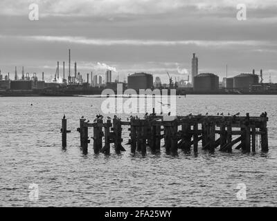 Ein Blick über die Tees-Mündung, mit einem verrotteten Pier, der jetzt von Seevögeln besiedelt ist, vor einem Horizont von Industriekomplexen. Stockfoto