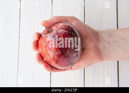 Mann Hand hält einen roten Apfel mit weißer Schicht aus Schutzwachs teilweise aufgelöst nach dem Waschen eines Apfels zu Hause. Stockfoto