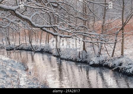 Winterlandschaft mit Fluss und Wald bedeckt mit Schnee in der Dämmerung Stockfoto