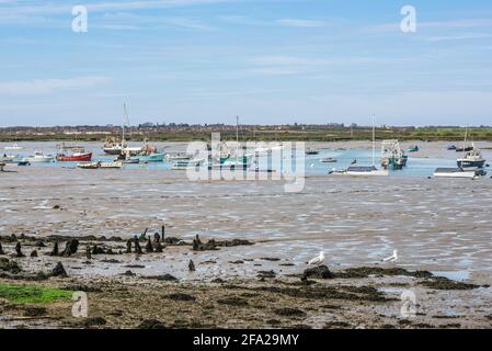 Mersea Flats Essex, Blick bei Ebbe über das Wattmeer, das Mersea Island von Little Wigborough, Essex, Großbritannien, trennt Stockfoto