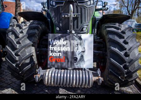 Schwerin, Deutschland. April 2021. Ein Protestplakat gegen den Wolf steht auf einem Traktor während einer Protestaktion von Bauern gegen die weitere Ausbreitung wilder Wölfe. Der Bauernverband Mecklenburg-Vorpommern rief zu Beginn der Umweltminister-Konferenz zur Demonstration vor dem Landwirtschaftsministerium auf. Die Bauern lehnen eine weiter wachsende Wolfspopulation ab und fordern die Reduzierung der Raubtiere. Quelle: Jens Büttner/dpa-Zentralbild/dpa/Alamy Live News Stockfoto