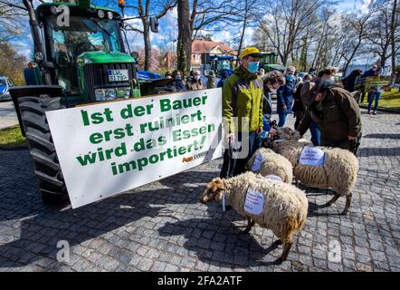 Schwerin, Deutschland. April 2021. Hirten stehen mit ihren Tieren vor dem Landwirtschaftsministerium während einer Protestaktion von Bauern gegen die weitere Ausbreitung wilder Wölfe. Der Bauernverband Mecklenburg-Vorpommern hat zu Beginn der Umweltminister-Konferenz die Demonstration vor dem Landwirtschaftsministerium gefordert. Die Bauern lehnen eine weiter wachsende Wolfspopulation ab und fordern die Reduzierung der Raubtiere. Quelle: Jens Büttner/dpa-Zentralbild/dpa/Alamy Live News Stockfoto