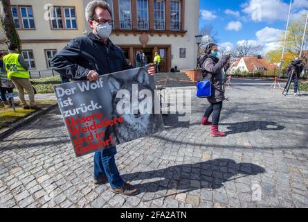 Schwerin, Deutschland. April 2021. Vor dem Landwirtschaftsministerium steht ein Teilnehmer der Protestaktion der Bauern gegen die weitere Ausbreitung wilder Wölfe. Der Bauernverband Mecklenburg-Vorpommern hat zu Beginn der Umweltminister-Konferenz die Demonstration vor dem Landwirtschaftsministerium gefordert. Die Bauern lehnen eine weiter wachsende Wolfspopulation ab und fordern die Reduzierung der Raubtiere. Quelle: Jens Büttner/dpa-Zentralbild/dpa/Alamy Live News Stockfoto