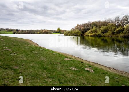 Blick auf Bewl Water, Wandern um den Stausee in Südostengland an einem bewölkten Frühlingsnachmittag Stockfoto