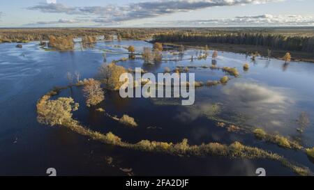 Luftaue und herbstliche Flussbiegungen Stockfoto