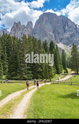 Wandergruppe auf einer alpinen Wiese Stockfoto