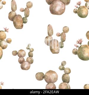 Nahtlose Patern von Kakteen. Aquarell braun Satz von Kaktus. Handgezeichnete, isolierte Illustration auf weißem Hintergrund Stockfoto