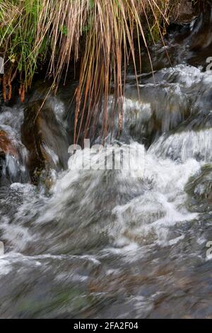 Wasser fließt über Felsen in Small Burn, Glen Shee, Schottland, Großbritannien. Stockfoto