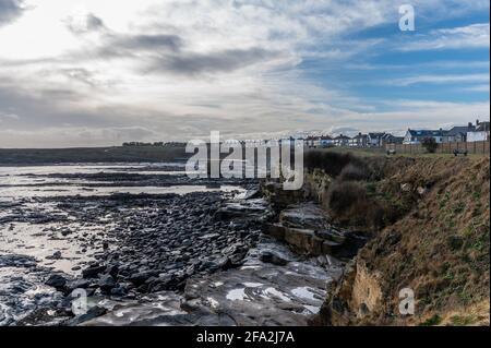 Charley's Garden in Collywell Bay, Seaton Sluice, Northumberland, Großbritannien Stockfoto