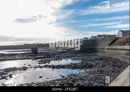 Charley's Garden in Collywell Bay, Seaton Sluice, Northumberland, Großbritannien Stockfoto