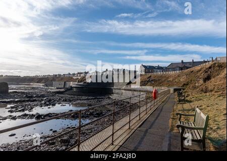 Charley's Garden in Collywell Bay, Seaton Sluice, Northumberland, Großbritannien Stockfoto