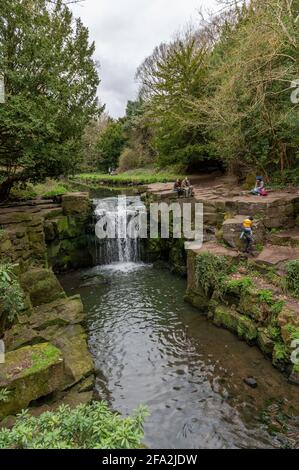 Jesmond Dene Park, Tyne and Wear, Großbritannien Stockfoto