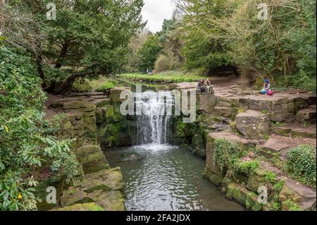 Jesmond Dene Park, Tyne and Wear, Großbritannien Stockfoto