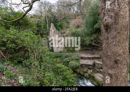 Jesmond Dene Park, Tyne and Wear, Großbritannien Stockfoto