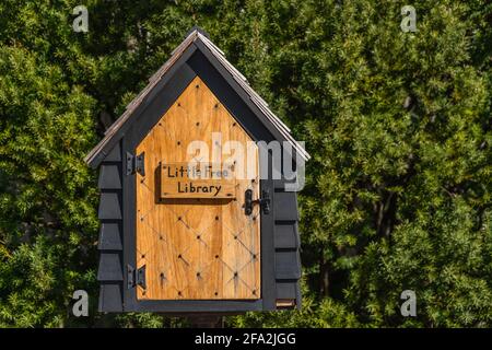 Salem, MA, USA-21. März 2021: Kleine Freibibliothek-Box mit Bäumen im Hintergrund. Stockfoto