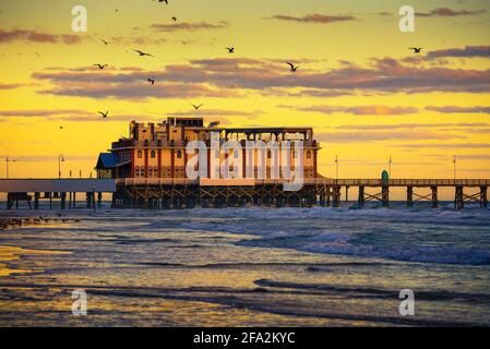 Sonnenaufgang über dem Main Street Pier von Dayona Beach, Florida, mit einer Schar von Möwen Stockfoto