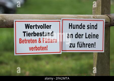 Hagen Am Teutoburger Wald, Deutschland. April 2021. „Wertvolles Vieh. Nicht betreten und füttern!“ Liest ein Schild auf der Horses & Dreams International Horse Show. Quelle: Friso Gentsch/dpa/Alamy Live News Stockfoto