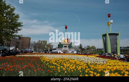 Tonami, Japan. April 2021. Das 'Blue Impulse'-Kunstflugdemonstrationsteam der Japan Air Self-Defence Force fliegt während der Eröffnungszeremonie zur '70. Tonami Tulip Fair' im Tonami Tulip Park in Tonami, Präfektur Toyama, Japan, am Donnerstag, den 22. April 2021 über. Der Blue Impulse trat zum ersten Mal seit einem Jahr auf. Foto von Keizo Mori/UPI Credit: UPI/Alamy Live News Stockfoto